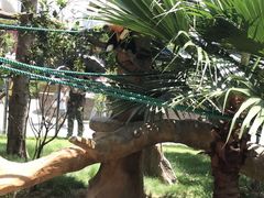 -灵玲国际马戏城