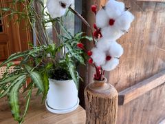 -三忘湖 SWANSEEN(柳荫公园店)