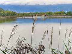 -野鸭湖国家湿地公园