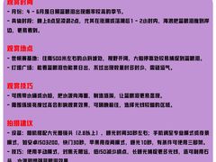 -日照灯塔风景区