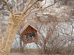 -北京西山国家森林公园