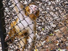 -长白岛森林公园