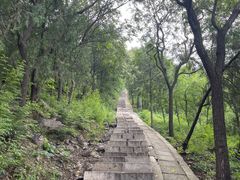 -北京十三陵国家森林公园蟒山景区