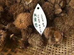 -田园东方蜜桃村的田野营地