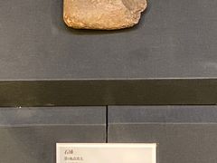 -北京周口店北京人遗址博物馆