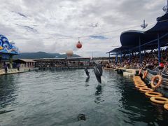 -海南分界洲岛旅游区