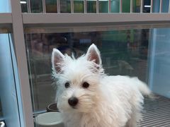 -FAELING PETS美天灵宠物(合生汇店)