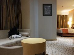 dlxrm-天津水游城丽筠酒店