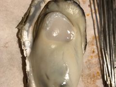 -臻炙大舍烤串(天龙家园店)