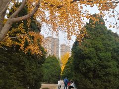 -辽宁大学(崇山校区)