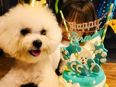 -百好乐宠物友好餐厅(朝外大街店)