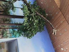 -延庆地质公园博物馆