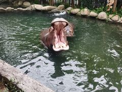 -宁波野生动物园