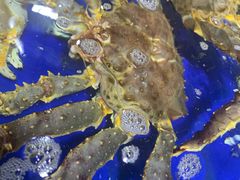 -无锡天鹏食品城