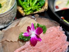 -朱光玉火锅馆(青岛凯德店)