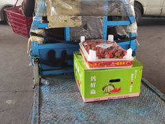 -江杨农产品批发市场