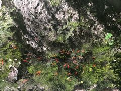 -北京上方山国家森林公园