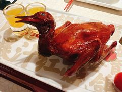 红烧乳鸽-大鸽饭(动物园店)