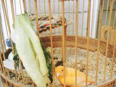 -Egg•Allday Brunch(襄阳北路店)
