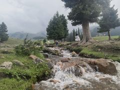 -新疆那拉提国家旅游度假区