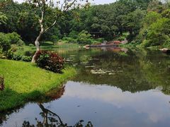 -云溪植物园