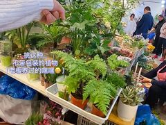 -双季花艺园艺市场(浦东店)