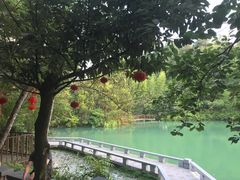 -仙店农庄(湖景农庄餐厅)