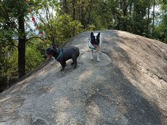 -火炉山森林公园