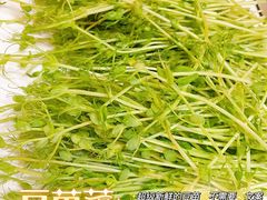 -美姿水荟美食水疗