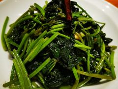 红薯叶-丹江渔村(望京店)