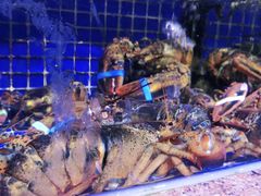 -青蓬蒸汽海鲜·深圳老字号·团建聚会(壹方城店)