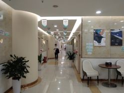 -新生植发·植养护一体