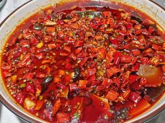 毛血旺-雲蜀龙阁·金牌水煮鱼(方庄店)