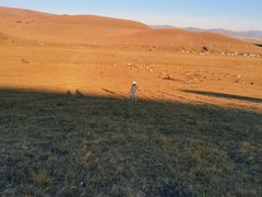 -塞罕坝国家级自然保护区