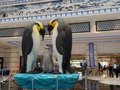 -帝企鹅自助餐厅•儿童岛•真企鹅(长隆企鹅酒店)