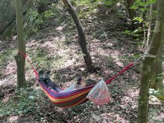 -黑河国家森林公园