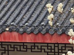 -堤角公园