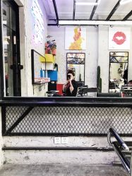 -SALON V