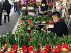 -溪岸路花鸟市场