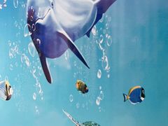 -太平洋海底世界