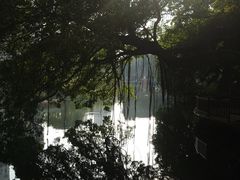 -荔湾湖公园