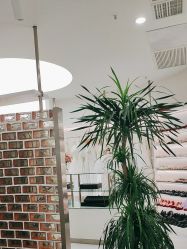 点击看大图 -小阿福儿童摄影(摩尔城店)