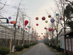 -菊园百果园