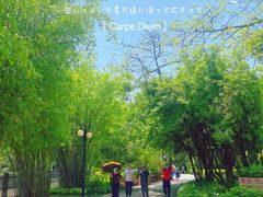 -晓港公园