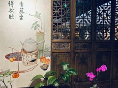 -青藤茶馆(南山路店)