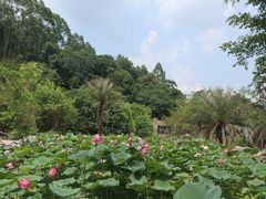 -龙门水都景区