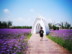 -渔岛海洋度假区