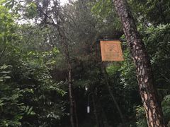 -壹华里市集