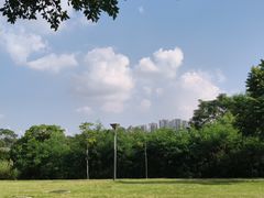 -广西壮族自治区药用植物园