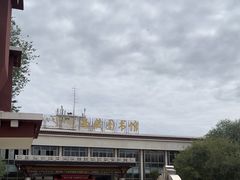 -西藏自治区图书馆